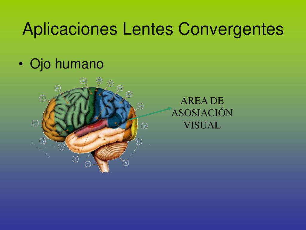 Aplicaciones de las lentes divergentes clearance
